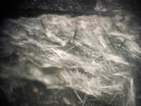 actinolite-photo-11