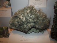 photo pierre actinolite