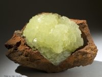 adamite-photo-14
