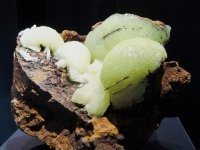 adamite-photo-4