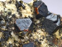 cafarsite-photo-4