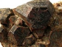 cafarsite-photo-5
