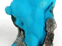 chrysocolle-photo-1