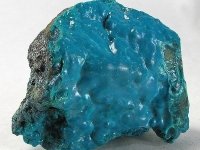 chrysocolle-photo-3