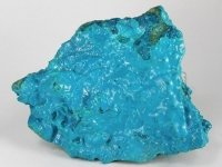 chrysocolle-photo-5