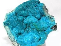 chrysocolle-photo-7
