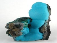 chrysocolle-photo-9