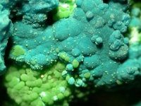 conichalcite photo-2