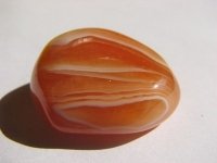 cornaline-photo-3