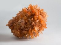 creedite-photo-10