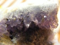 creedite photo-3