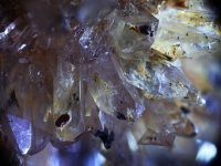 creedite-photo-5