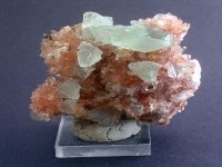 creedite-photo-8