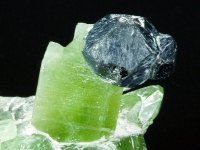 peridot-photo-16