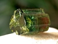 photo tourmaline melon d\'eau
