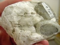 ulexite photo 5