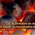 La formation du charbon a fait baisser la concentration de CO2
