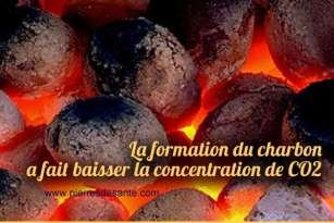 La formation du charbon a fait baisser la concentration de CO2