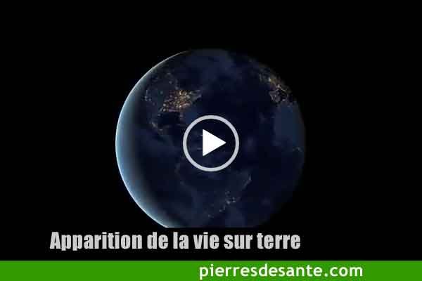 De quand date la vie sur les continents?