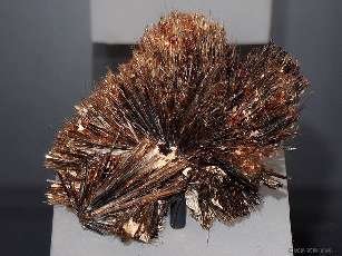 astrophyllite