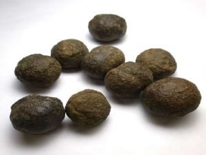 bojis
