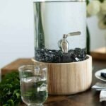 shungite purification eau